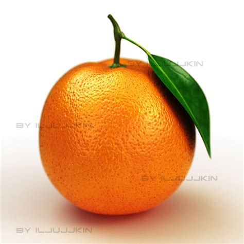 Orange Fruit Free 3d Models Cinema 4d C4d Download Free3d