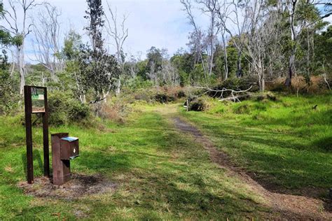 Hawaii Volcanoes National Park Hikes | Park Ranger John