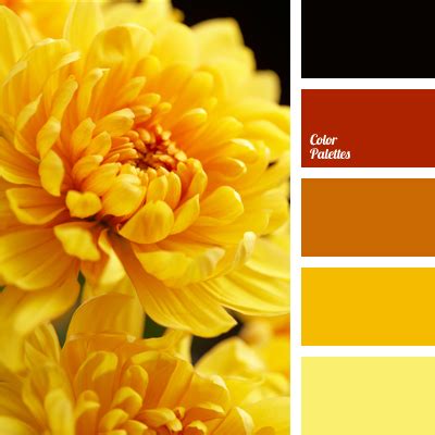 Color Palette #413 | Qi Concept