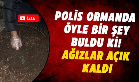 Samsun Da Polis Ormanda Yle Bir Ey Buldu Ki A Zlar A K Kald