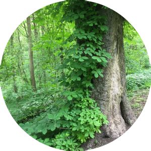 The Getting Naked School Getting Naked