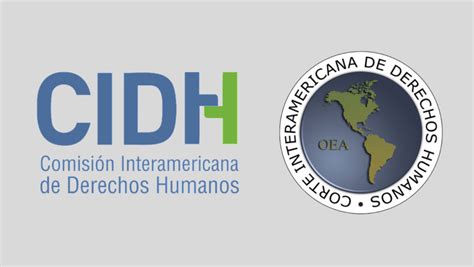 Sistema Interamericano De Derechos Humanos La Sociedad Civil Tiene La