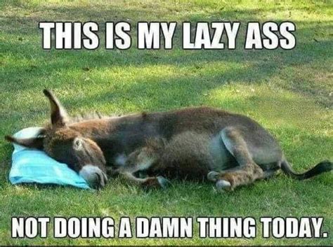 This Is My Lazy Ass Myconfinedspace