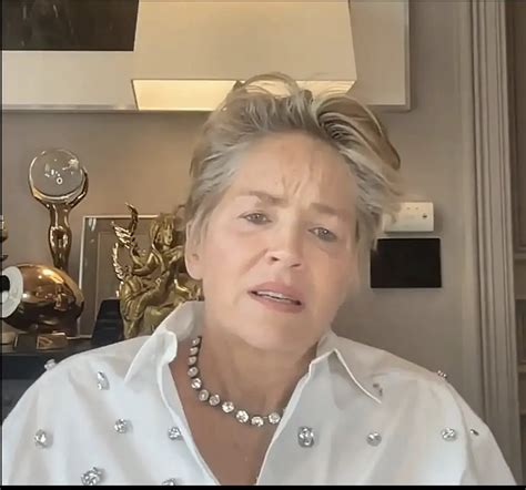 Sharon Stone Finally Names Producer Who Pressed Her Into Sex With Billy Baldwin The Hook News
