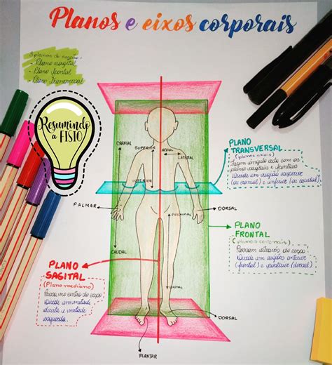 Mapa Mental Planos Anatomicos Mema