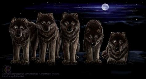 Quick Dire Wolf Facts: - Lived during the Rancholabrean North American ...