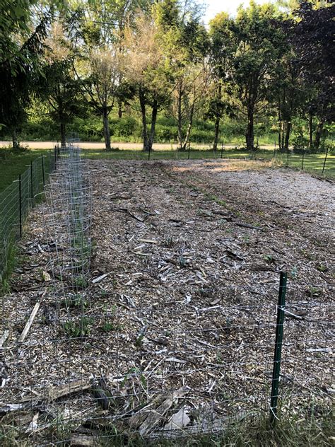 Garden is half planted, I couldn’t wait so here it is. I’ll update with