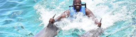 Isla Mujeres Dolphin Swim Adventure