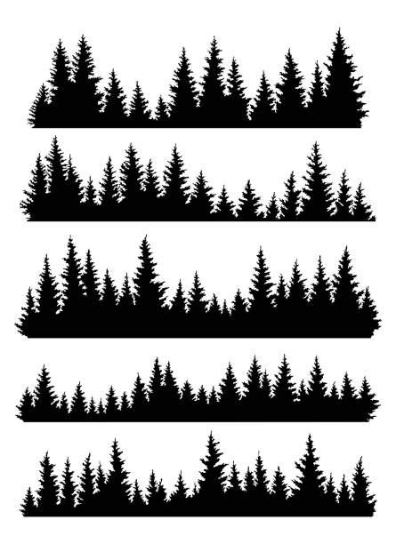 Tree outdoor travel black silhouette coniferous natural badges, tops