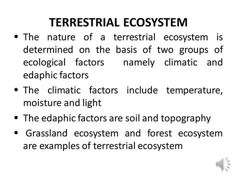 SOLUTION: What is a Terrestrial Ecosystem?|Definition, Examples & Types ...