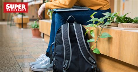 Universidades N O Sabem Lidar Ass Dio Sexual Diz Relat Rio Super