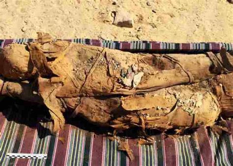 Necropoli Con 35 Mummie Scoperta In Egitto Da Spedizione Italiana GreenMe