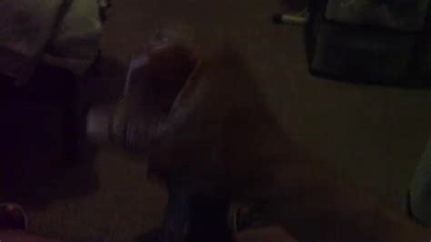 Late Night Labor Day Pornhub Gay