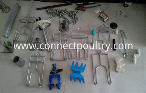 Automatic poultry slaughtering equipment China Manufacturer