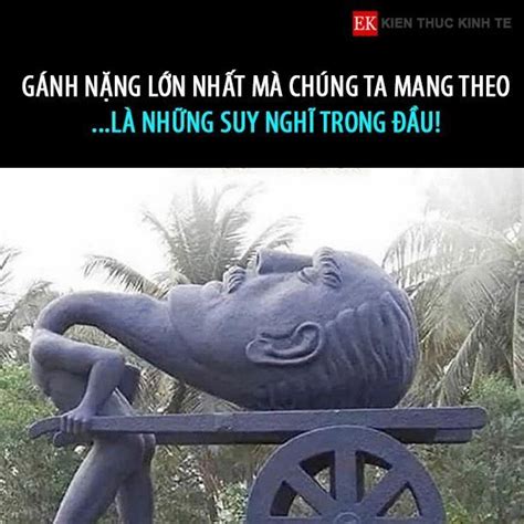 Ghim của you shut the fuck up trên vì quá sồu nên tôu ghim mấy cái ảnh này vào Meme Cười