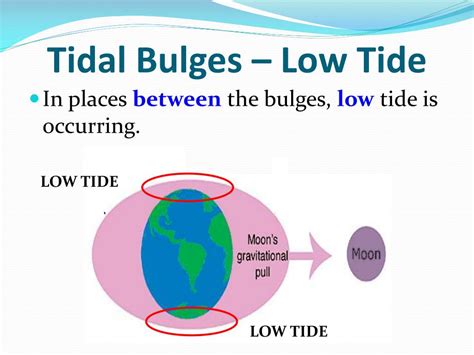 tide      wendell blakely blog