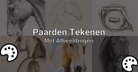 Paarden Tekenen Met Afbeeldingen