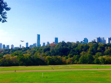 Riverdale Park Toronto View Stock Photo - Image of street, downtown: 130137686