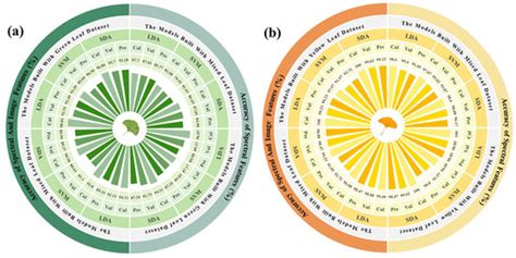 Ginkgo Biloba Sex Identification Methods Using Hyperspectral Imaging