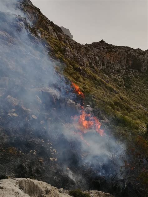 Los Ocho Incendios Forestales Declarados En Lo Que Va De Año Queman 50