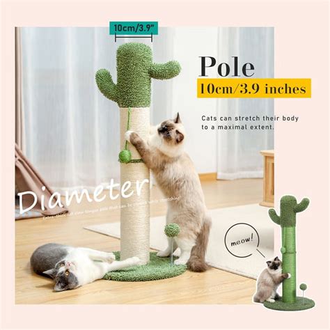 Catlk Cactus Cat Tree Cat Scratcher With Sisal Scratching Post And Interactive Dangling Ball For