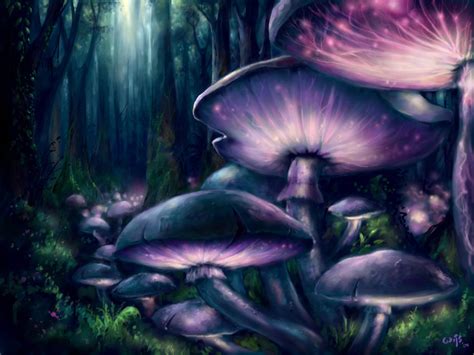 Mushroom Forest Wallpaper - WallpaperSafari