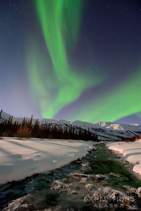 Aurora Alaska S Great Northern Lights | Shelly Lighting