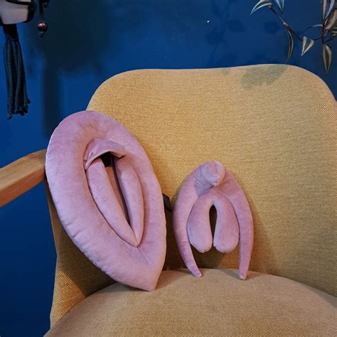 Vulva Pillows Anatomy Set Plushy Puppets For Sex Education Etsy Australia