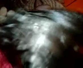 Latina Homemade Blowjob Amateur Porn XHamster