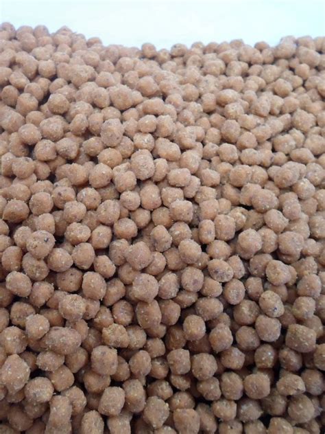 Shop The Best Affordable Birds Choice Hot Pepper Suet Nuggets 5 Lbs