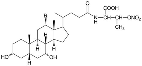 structure  udca thr    livertargeted  donor