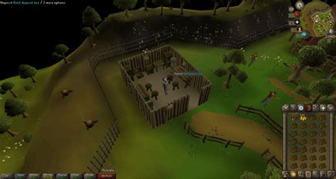 Woodcutting Guilde Osrs Guide Rune Fanatics