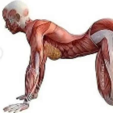 Turkish Amateur Arabayi Ormana Cekmis Evli Dostunu Sikiyor Xhamster