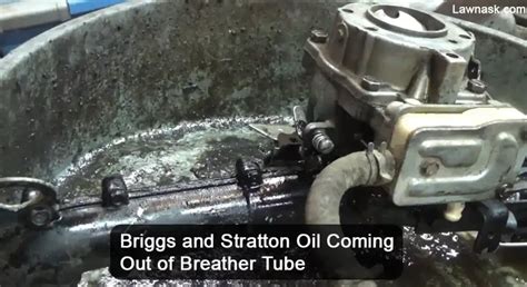 Briggs And Stratton Oil Coming Out Of Breather Tube What To Do Lawnask