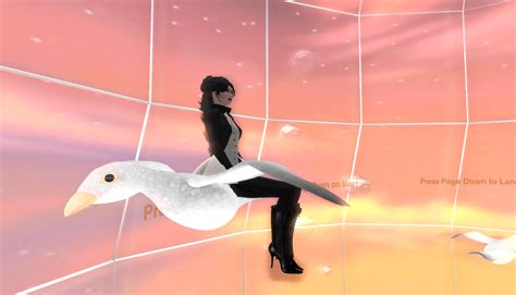 Education in virtual worlds – Meta Looming