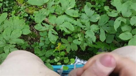 Cum Shot In The Woods Gay Man Porn XHamster