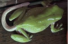 Anonib To Warning This Viral Video Will Haunt Your Dreams