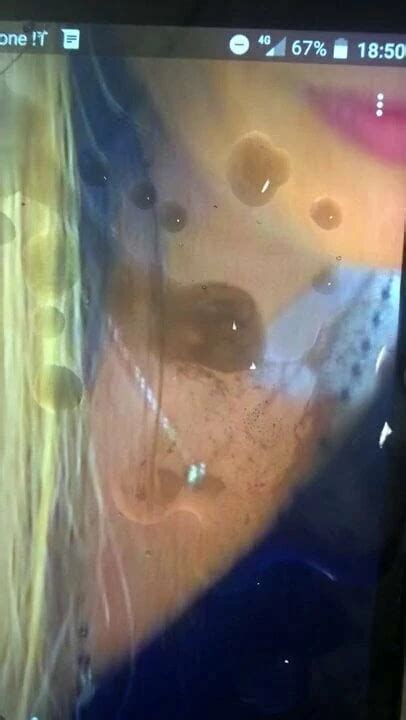 Micaela Porn Videos XHamster