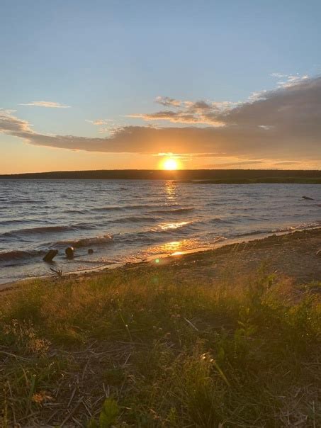 Капли цикламена купить в СПб | ВКонтакте
