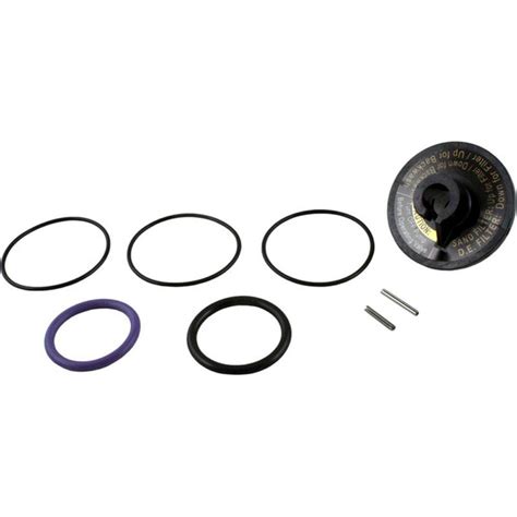 Rebuild Kit Zodiac Jandy Slide Valve Pst Pool Supplies