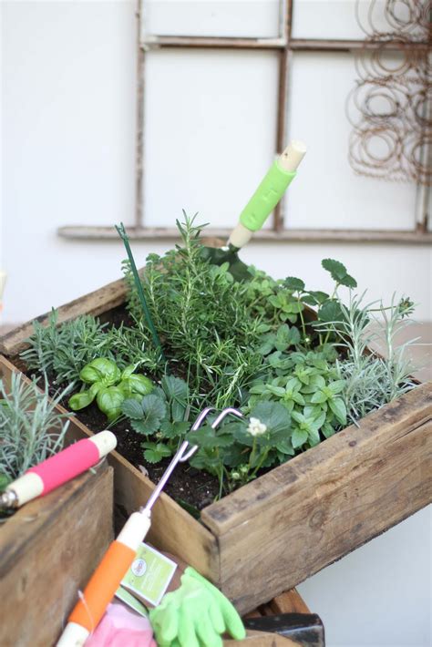 The Willows Home & Garden: garden boxes
