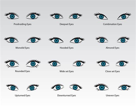 Human Eyes Vectors , Eye Types Collection , Eye Shapes, Eye Vector and ...