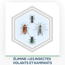 Raid aérosol multi insectes 400 ml Amazon fr Epicerie