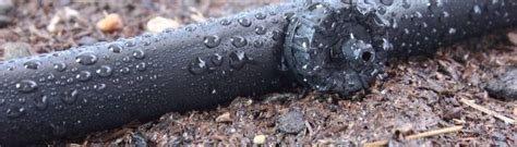 Поверхностный капиллярный полив в теплице