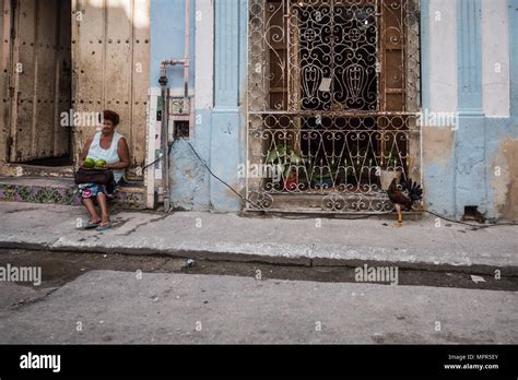 Mature Melons Stock Photos Mature Melons Stock Images Alamy