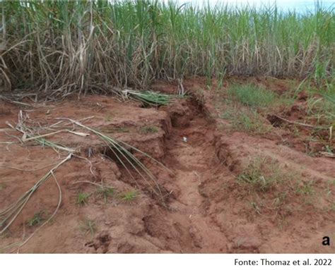 Erosão do solo da teoria à prática AGROADVANCE