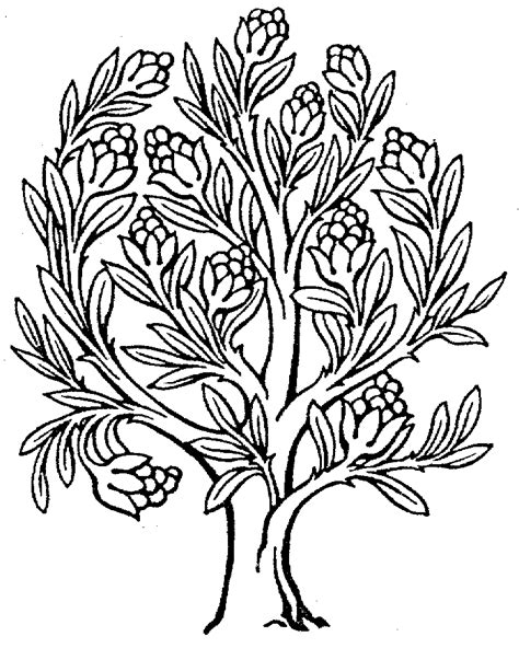Tree Of Life Clip Art