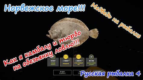 Норвежское море, обезьянка. #рр4 #норвежскоеморе #русскаярыбалка4 # ...