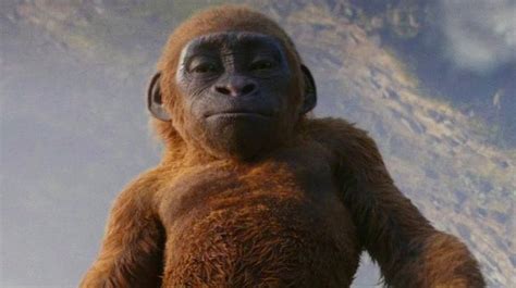 Baby Kong Know Your Meme