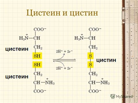 Презентация на тему: "КАТАБОЛИЗМ АМИНОКИСЛОТ Трансаминирование ...